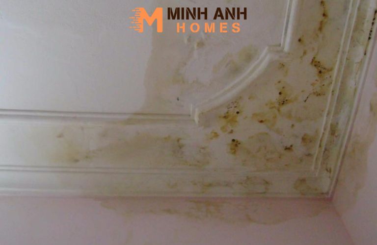 Tường nhà liền kề bị thấm, ẩm mốc