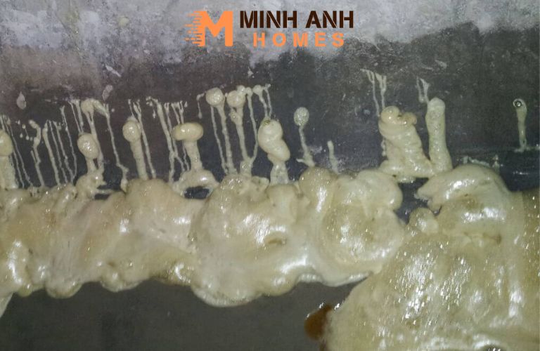 Chống thấm hố thang máy