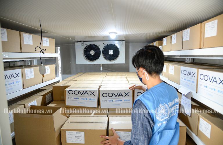 Kho lạnh bảo quản vaccin