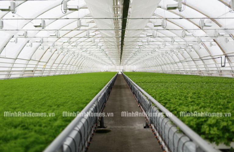 Xác định mục đích sử dụng